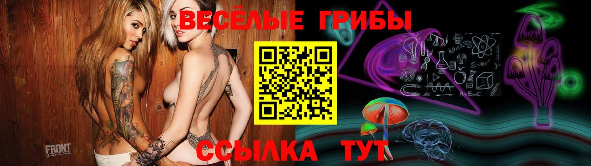 Ливны  Псилоцибиновые грибы Psilocybe  Псилоцибиновые грибы Psilocybine cubensis  Вход с VPN 